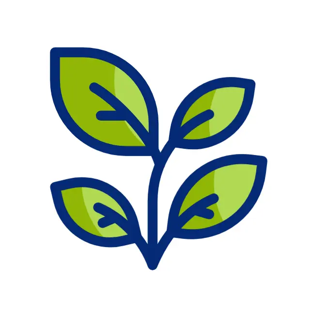 Salad Icon